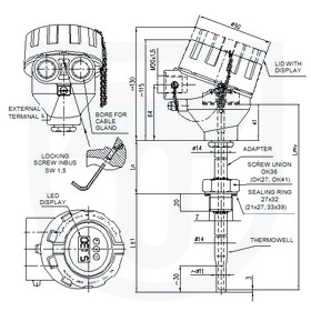 Resistance temperature sensor Ex d (Ex t, Ex i) with thermowell DIN without converter or with converter